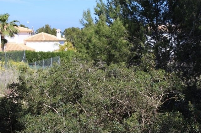 Plot in Javea - 2