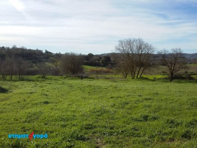 Agricultural Land in Polemi, Pafos - 2