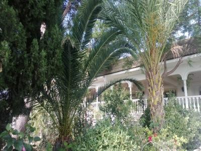 5 Bedrooms - Finca - Murcia - For Sale - 2