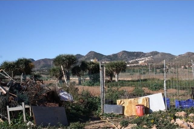 PLOT IN LOS BELONES, MURCIA. (12,000M2)..