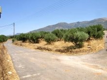 West Crete Land For Sale - 2