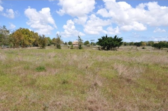 Property For Sale: Neils Plantation.. - 2