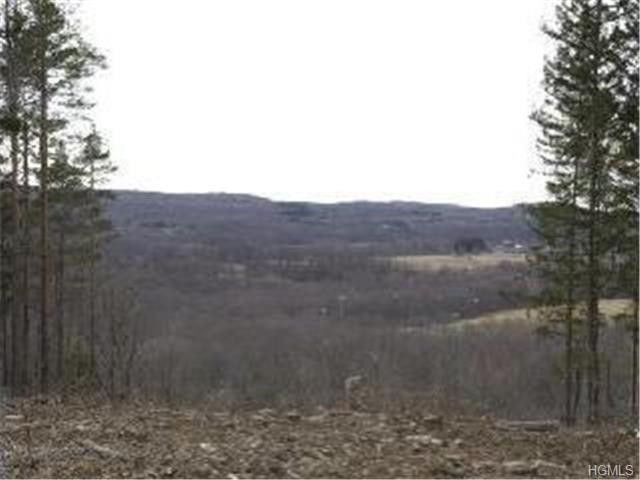 Land For Sale: Patterson, New York - 2