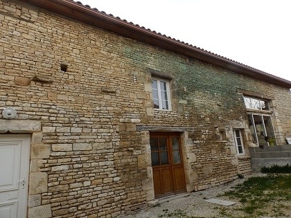 Village house with walled garden - 2