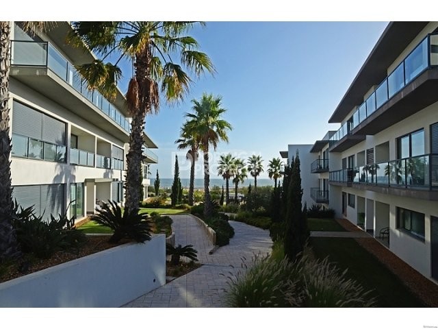 Modern 3 Bedroom Apartment with.. - 2