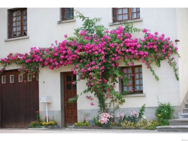 House On The Edge Of A Pretty Town - 2