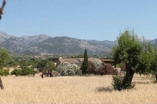 Building plot with views