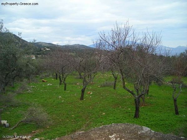 Land - Zakynthos - For Sale - 2