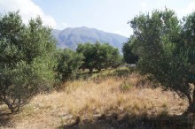 Rethymnon Plot For Sale