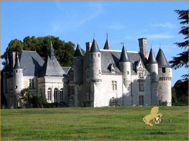 SOLD Castle chateau Tours France