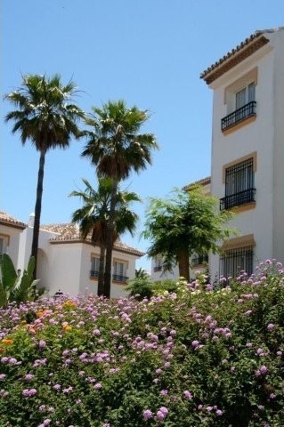 Apartment - A 1 bedroom / 1 bathroom.. - 2