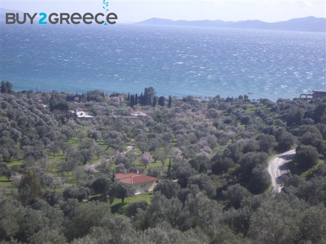 Β198 - Land parcel of 5500 sqm ,at..