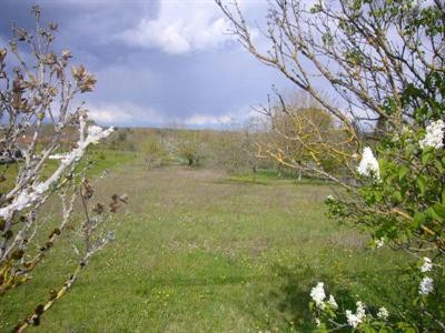 La Tour Blanche (24320)