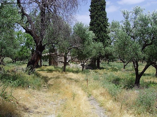 Land in Kallithea, Zakynthos