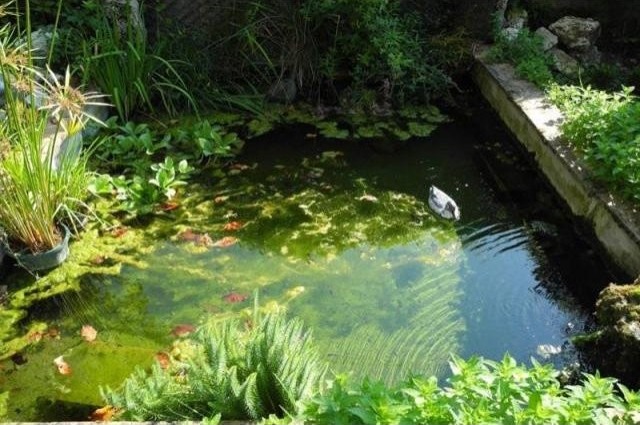 5 bedroom Village House For Sale: 47320.. - 2