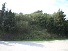 Land For Sale In Crete - 2