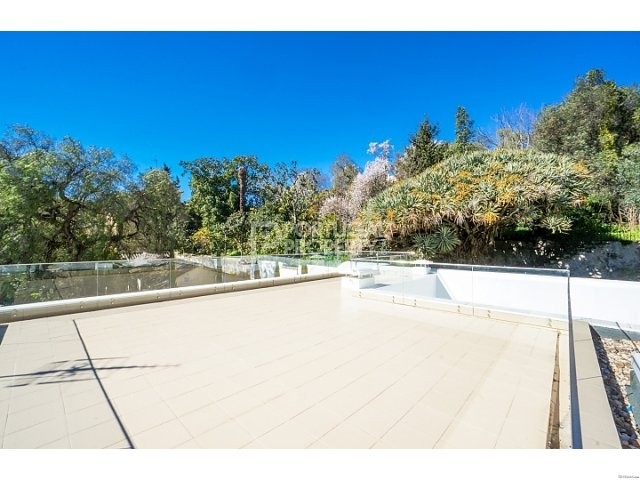 Amazing Duplex Apartment in Junqueira