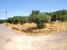 West Crete Land For Sale