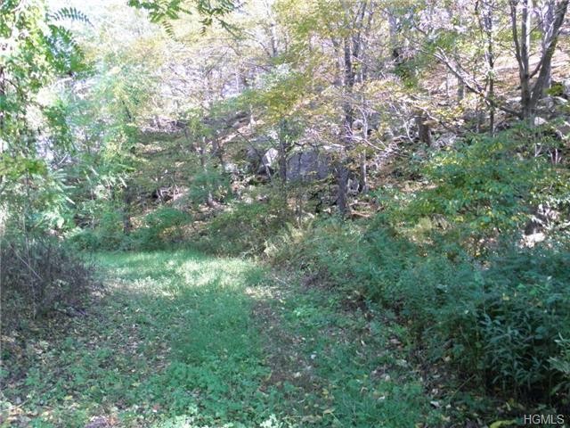Land For Sale: Patterson, New York - 2