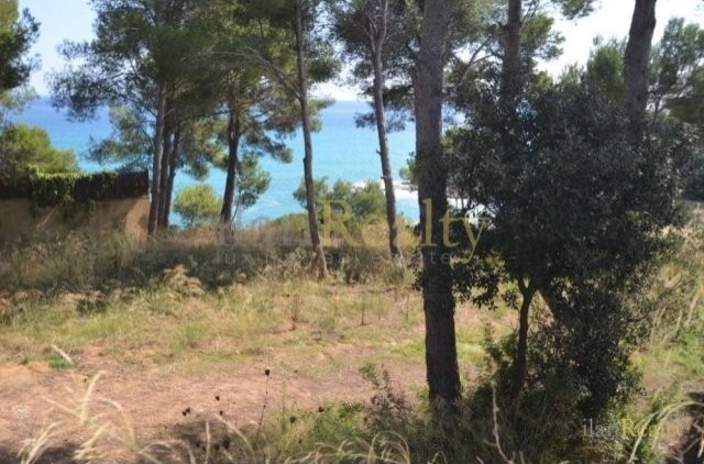 The plot for the home of your dreams in..