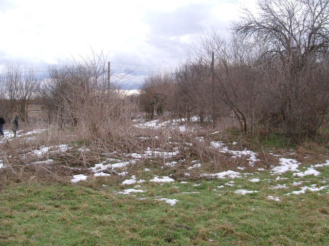 Land in Sernets, Dobrich - 2