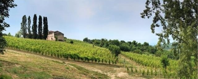 Property For Sale: Via dei Colli..