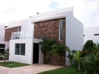 Anemona - 2