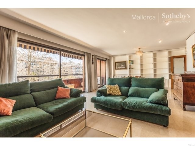Bright apartment with terrace and views