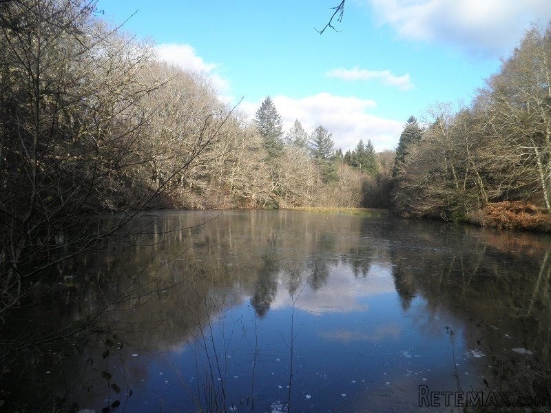 Country House with Lake and Outbuilding - 2