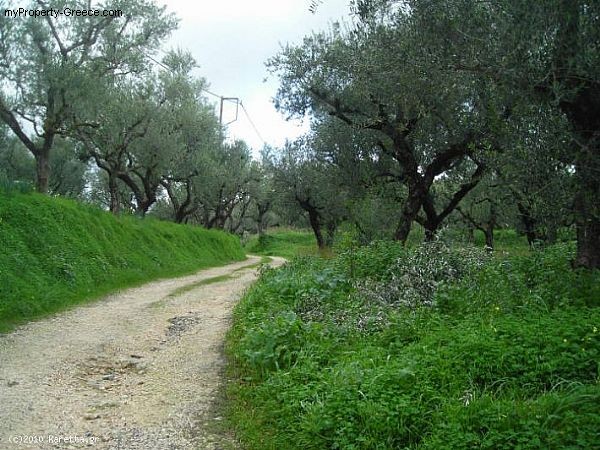 Land - Zakynthos - For Sale - 2