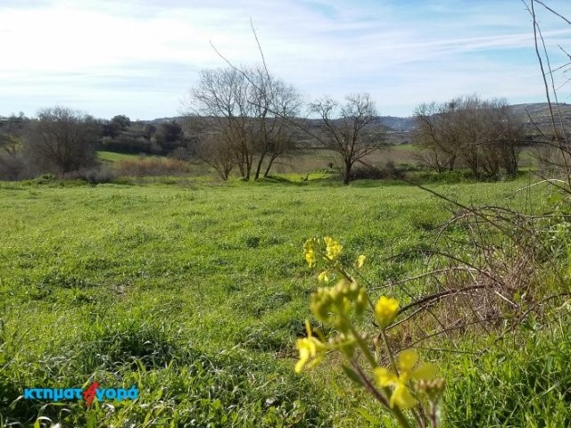Agricultural Land in Polemi, Pafos