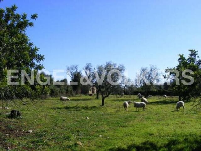 Nice plot with building proyect