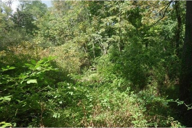 Land For Sale: Greenwich, Connecticut - 2