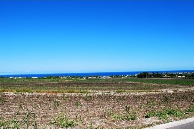 Property For Sale: Mount Pleasant Lot.. - 2