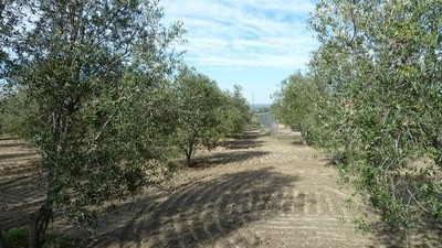 Land - Awaiting further details for..