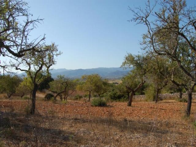 Beautiful plot near Santa Maria