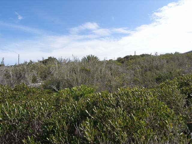 Singlefamilyvacant - Two gorgeous lots.. - 2