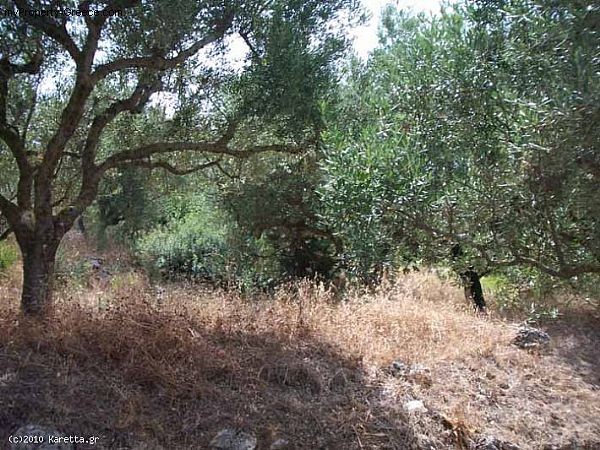 Land - Zakynthos - For Sale - 2