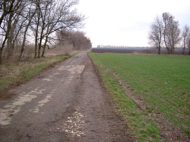 Land in Gorichane, Shabla - 2