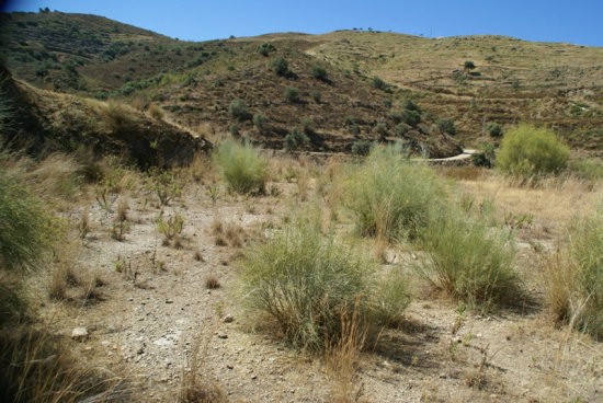 Rural land for Sale in Torrox, Torrox..
