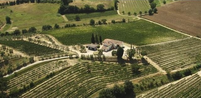 Farm For Sale: Montepulciano - 2