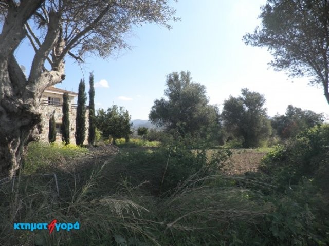 Residential Land in Skoulli, Pafos - 2