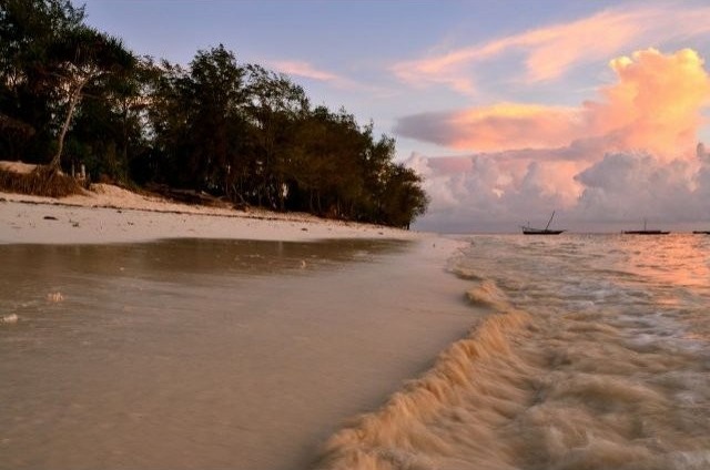 Hotel For Sale: Zanzibar sea front