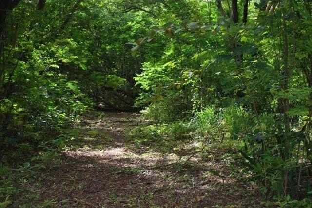 Property For Sale: Dover Pasture.. - 2