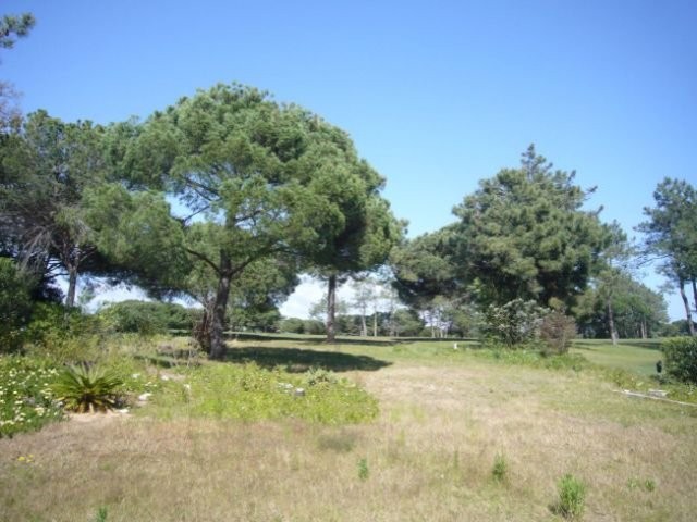 Plot + Project in Quinta do Lago