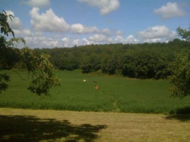 Near Estivals, Correze, Limousin - 2
