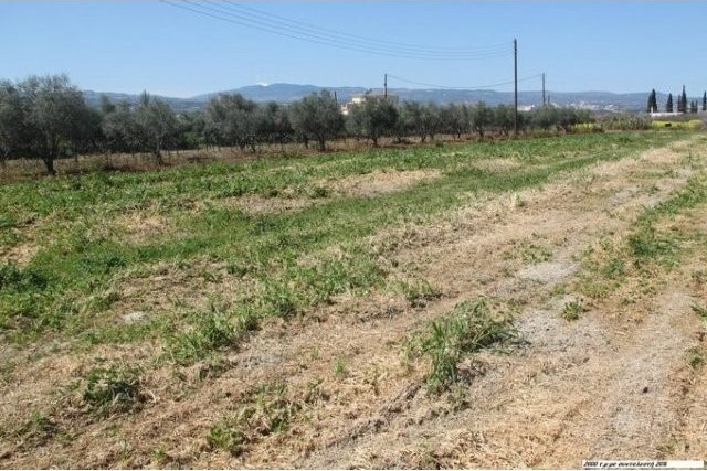 B346 - Land parcel of a total of.. - 2