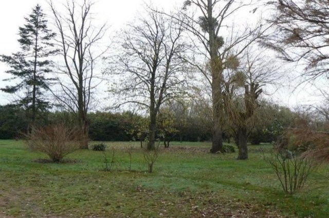4 bedroom House For Sale: 86200 SECTEUR.. - 2