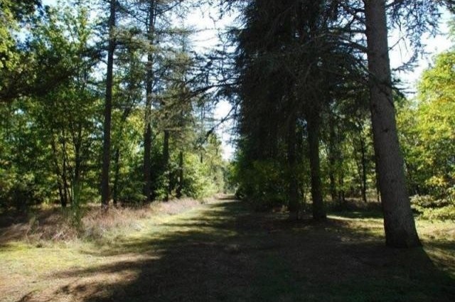 7 bedroom Castle For Sale: 41300 SALBRIS - 2