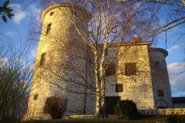 5 bedroom Castle For Sale: 63120..